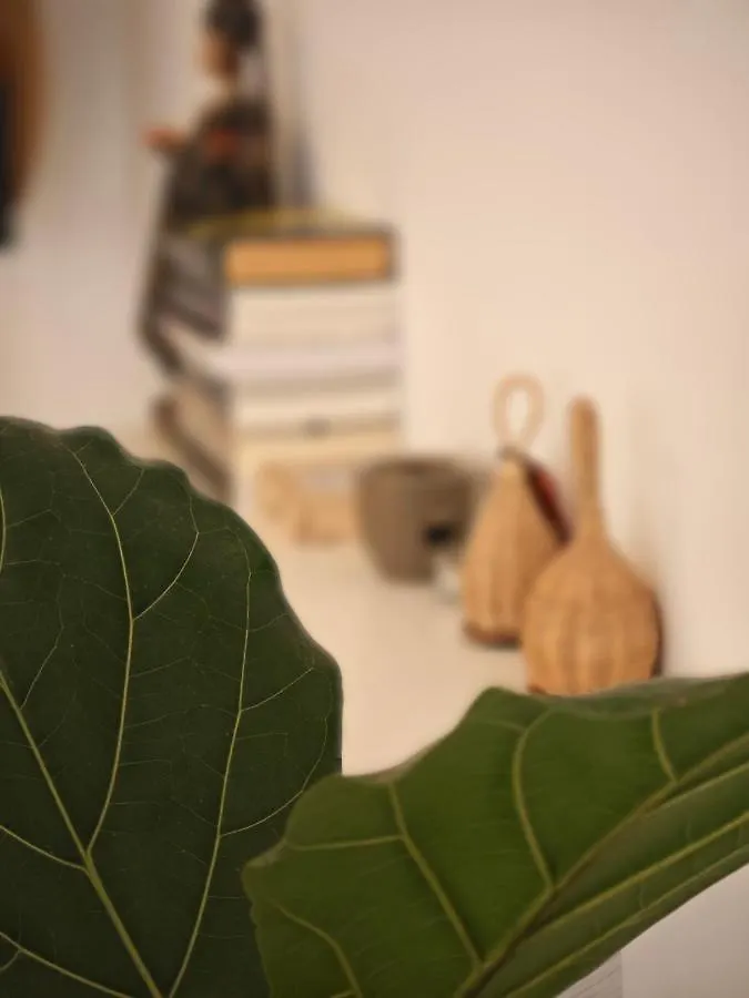 Casa Compartida San Francisco Acomodação com café da manhã Santa Cruz de Tenerife Alojamento de Acomodação e Pequeno-almoço