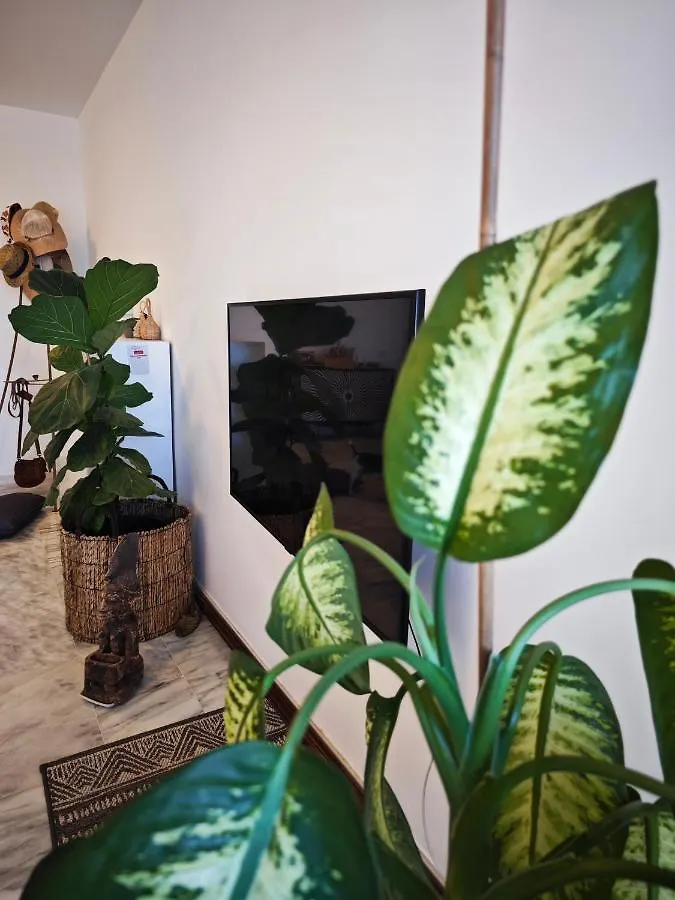 Bed and Breakfast Casa Compartida San Francisco Santa Cruz de Tenerife